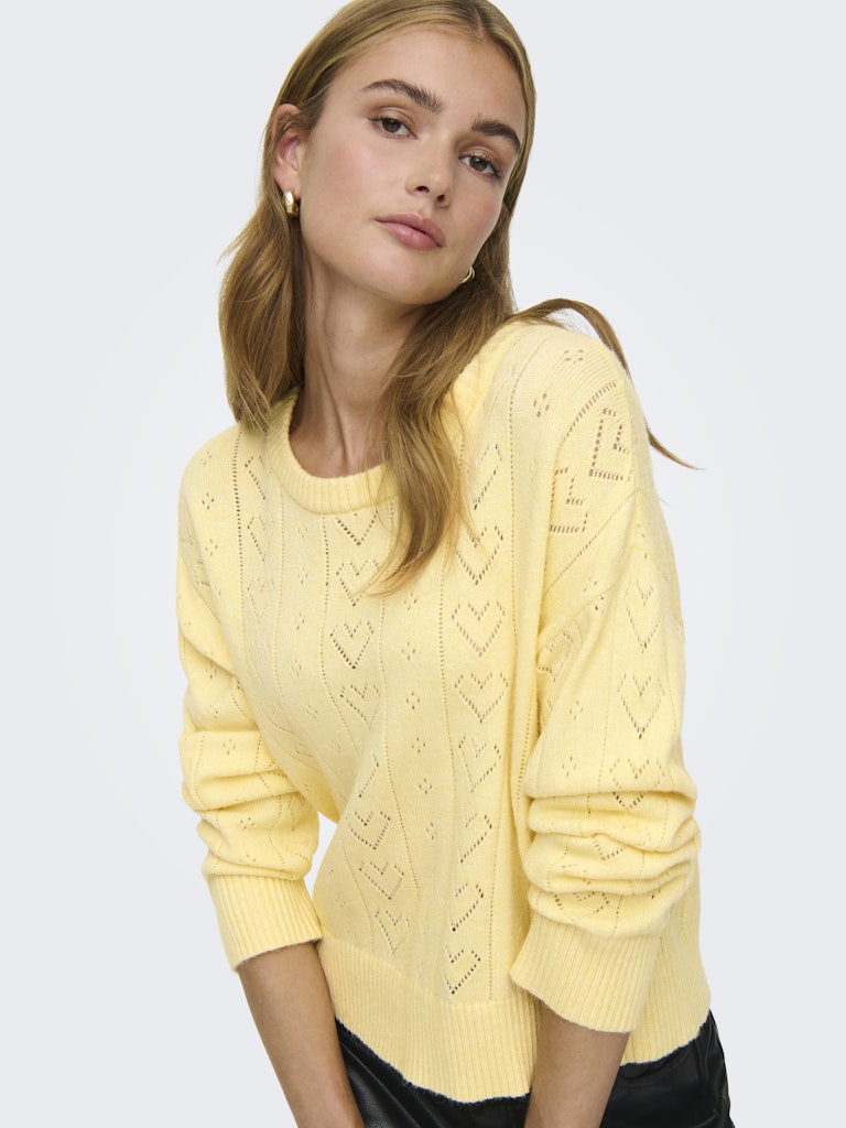 Onlisa Life Ls Struct Boxy Oneck Cc Knt - Geel