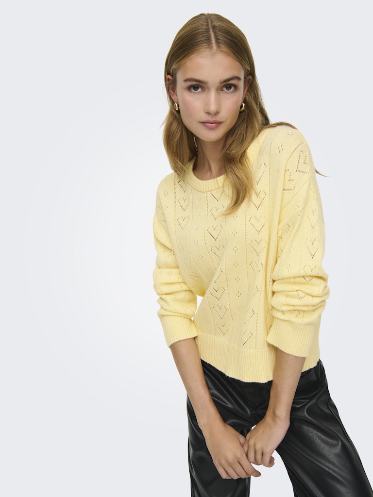 Onlisa Life Ls Struct Boxy Oneck Cc Knt - Geel