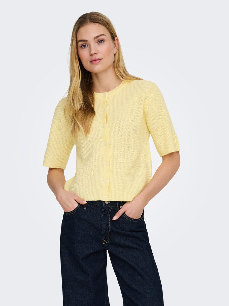 15375964 Catty - Geel